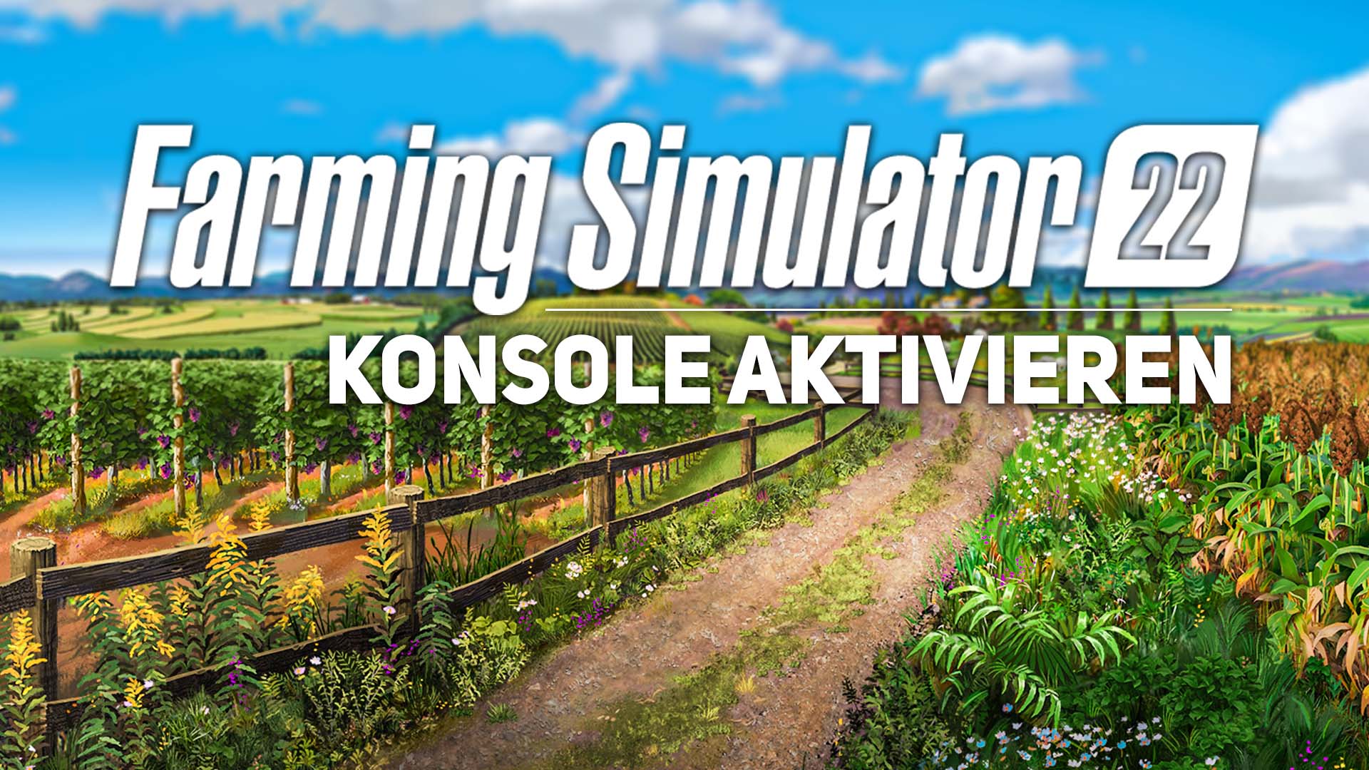 LS22: Konsole aktivieren – so schaltet ihr die Konsole im Farming Simulator  22 ein! - SIMMODS